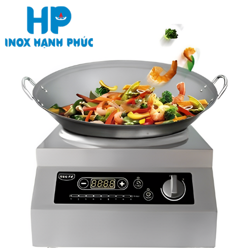 Bếp từ lõm để bàn 